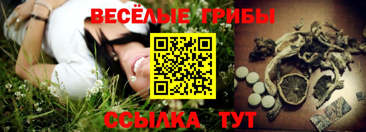 Псилоцибиновые грибы MAGIC MUSHROOMS  Вход с VPN  Междуреченск  Галлюциногенные грибы MAGIC MUSHROOMS 